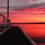 Fairy Wren Cottage Country To Coast Retreat - eAccommodation 0