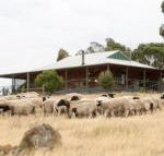 Gilgraves Vineyard Farmstay - eAccommodation