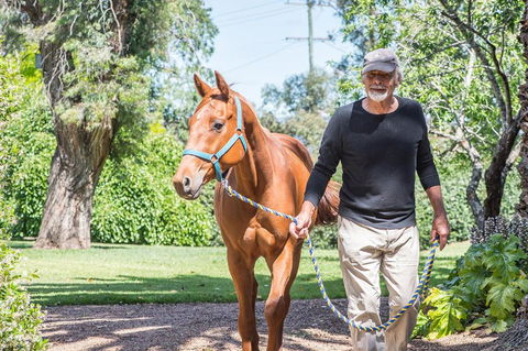 Russley Rural Retreat - eAccommodation 3