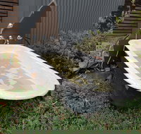 William Hunts Retreat Cypress Studio - eAccommodation