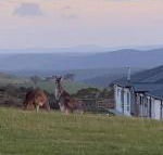 Rooks Edge - eAccommodation