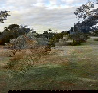 Young Budget Accommodation - eAccommodation