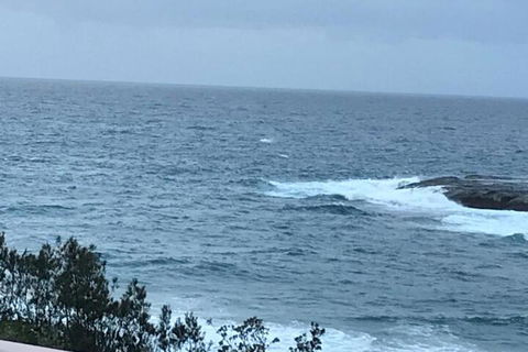 Absolute Oceanfront Cottage - eAccommodation 6