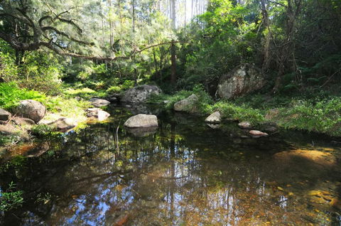 Alcheringa Cottage - eAccommodation 5