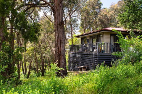 Lardi Lane - eAccommodation 1