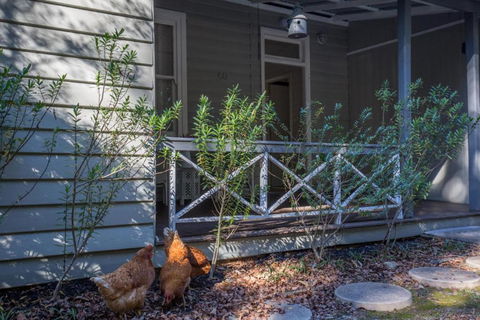 Arohanui - eAccommodation 5