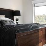 Amelia - eAccommodation 0