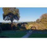 Ripplebrook Cottage - eAccommodation