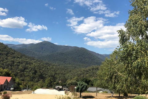 Alpine Stag Lodge Unit 2 - eAccommodation 7