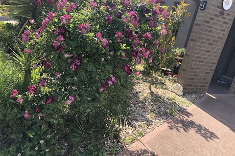 Apple House - eAccommodation 1