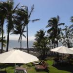 Apartment In Dolphin Heads Resort - eAccommodation 0