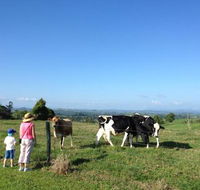 MilaViews - eAccommodation