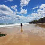 Arena Luxury Beachfront Apartment - eAccommodation 0
