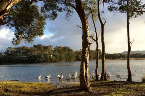 Lakehouse On Oxley - eAccommodation 2