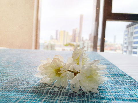 Apartments On Connor - eAccommodation 5