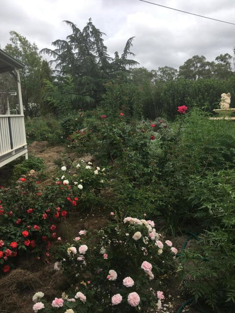 Saboâ€™s On Severn - eAccommodation 3