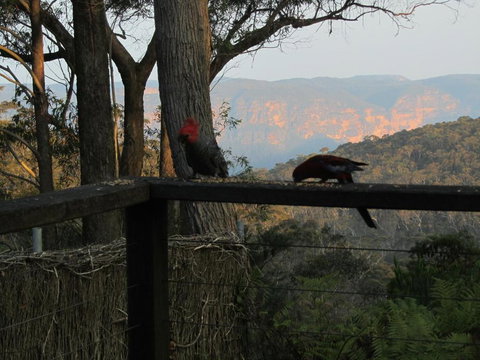 Canyon Cottage - eAccommodation 6