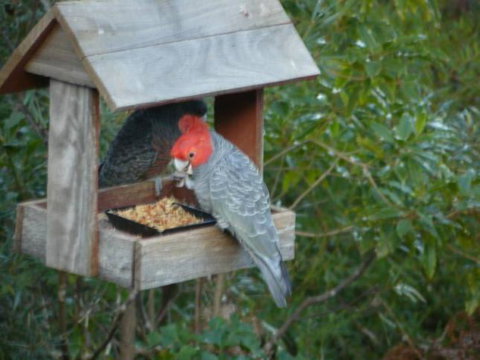 Canyon Cottage - eAccommodation 4