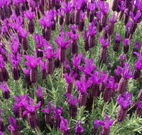 The Green Welly Stop - eAccommodation