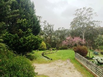 Acacia House Retreat Daylesford - eAccommodation 1