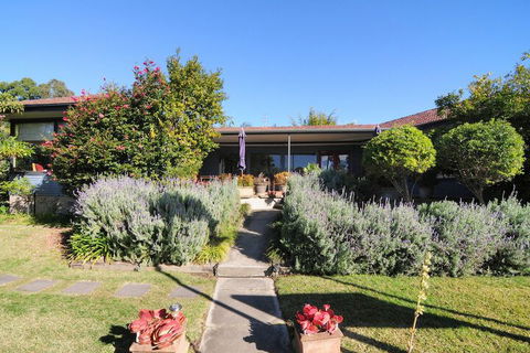 Dolphin Sands - eAccommodation 4