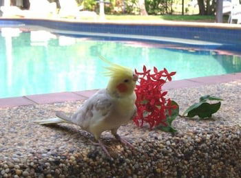 Hidden Valley Holiday Park - eAccommodation 3