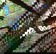 Bright Highland Valley Cottages - eAccommodation