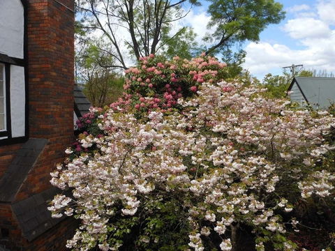 Merrimeet Cottages - eAccommodation 0