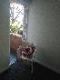 Abbeville Apartments - eAccommodation 5