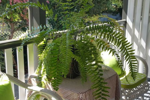 Elindale House Bed & Breakfast - eAccommodation 4