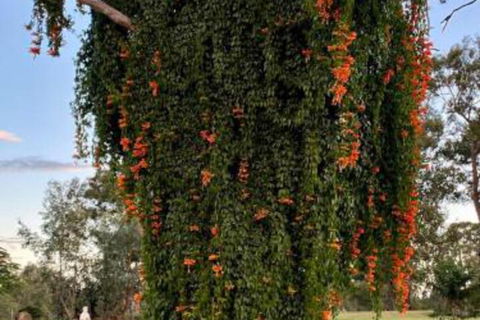 Amarina Farm Stay & Gardens - eAccommodation 6