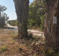 COONARR BEACH  BUNDABERG CAMPING - eAccommodation