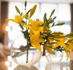 KUI Manhattan Apartments - eAccommodation