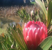 Creswick Cabin Retreat - eAccommodation