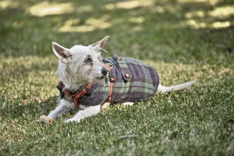 BEACH WITHIN REACH - eAccommodation 4