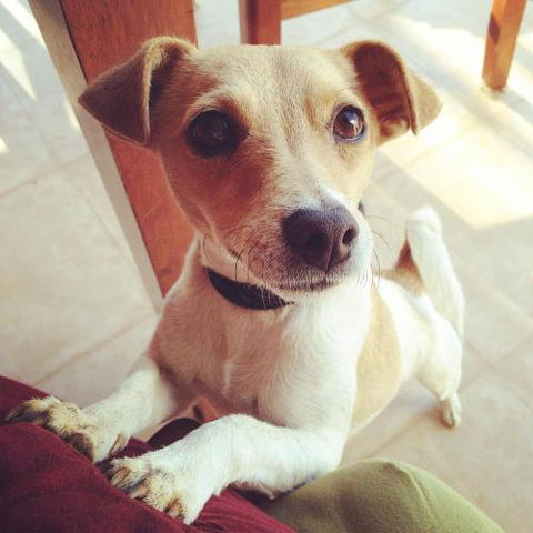 Harmony At Tower Hill Apartment - eAccommodation 4