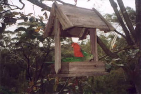 Arcadia Cottage - eAccommodation 2