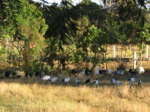 Armadale Farmstay Bed & Breakfast - eAccommodation 5