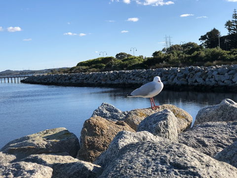 Albany Foreshore Guest House - eAccommodation 3
