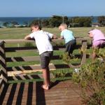 Beachend Bicheno - eAccommodation 0