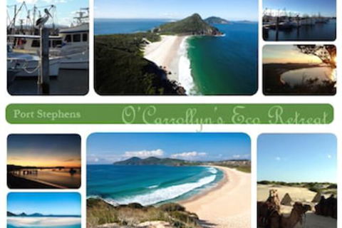 The Oasis At One Mile Beach - eAccommodation 5