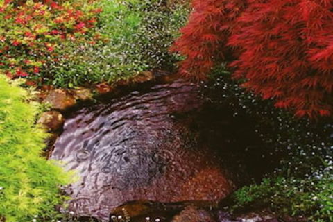 Forget Me Not Cottages - eAccommodation 1