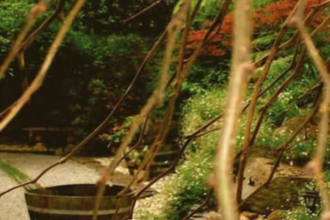 Forget Me Not Cottages - eAccommodation 3