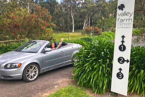 Valley Farm Vineyard Cottages - eAccommodation 0