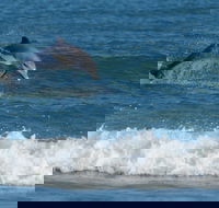 Summerhills Retreat Byron Bay - eAccommodation