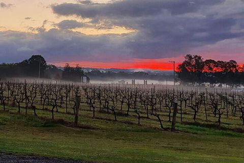 Adina Vineyard - eAccommodation 4