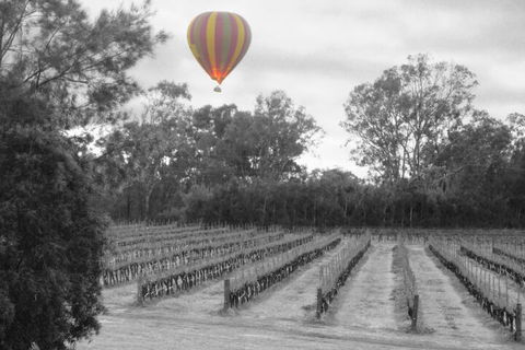 Adina Vineyard - eAccommodation 5