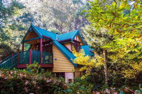 Arnica Views - eAccommodation 0