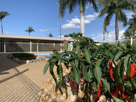 Silo Motor Inn - eAccommodation 6