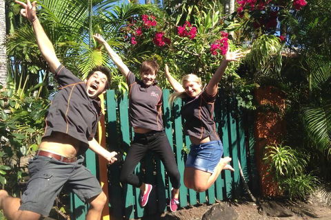 JJs Backpackers Hostel - eAccommodation 6